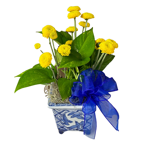 Pothos with Fresh Flowers in Ceramic Container
