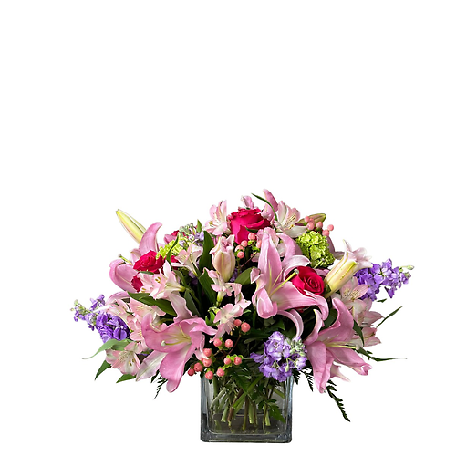 Pink Lily Love